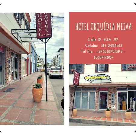 Hotel Orquídea Neiva Neiva  Exterior foto
